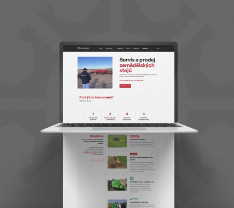Daservis - web