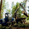 Forestry equipment