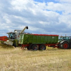 21 t / 2 osy (TDK 21000 S2) (Molčík)