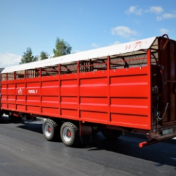 Cattle transport